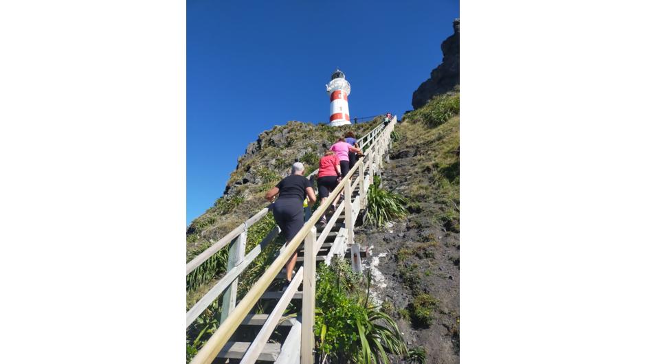 It&#039;s only 252 steps to the top! Cape palliser Lighthose