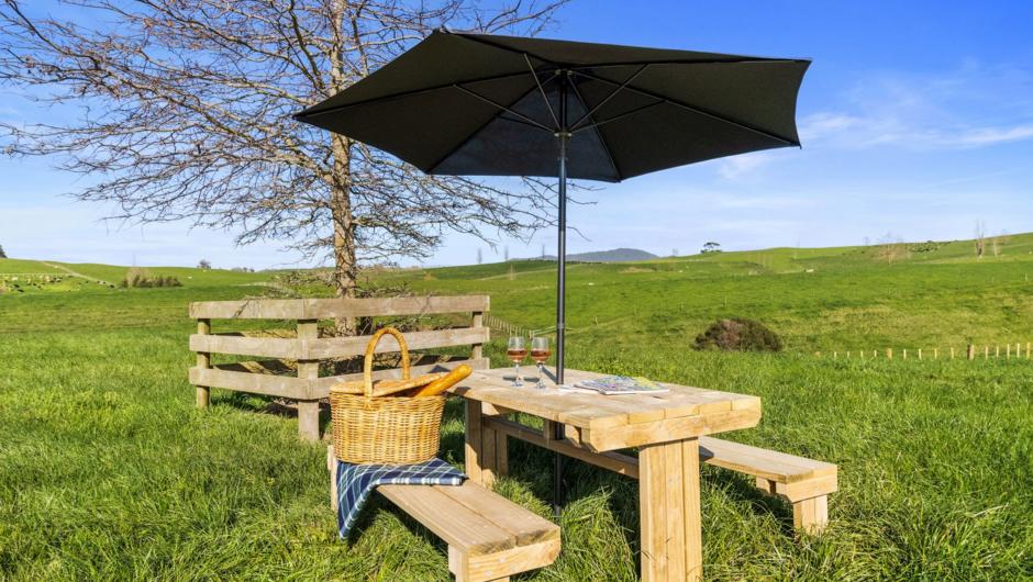 Relax in the Paddock, perfect for reading a book or star gazing.