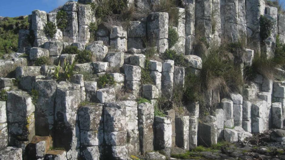 Basalt Columns - Waitangi West
