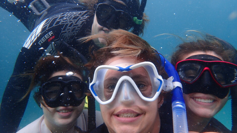 Underwater picture of snorkelers.