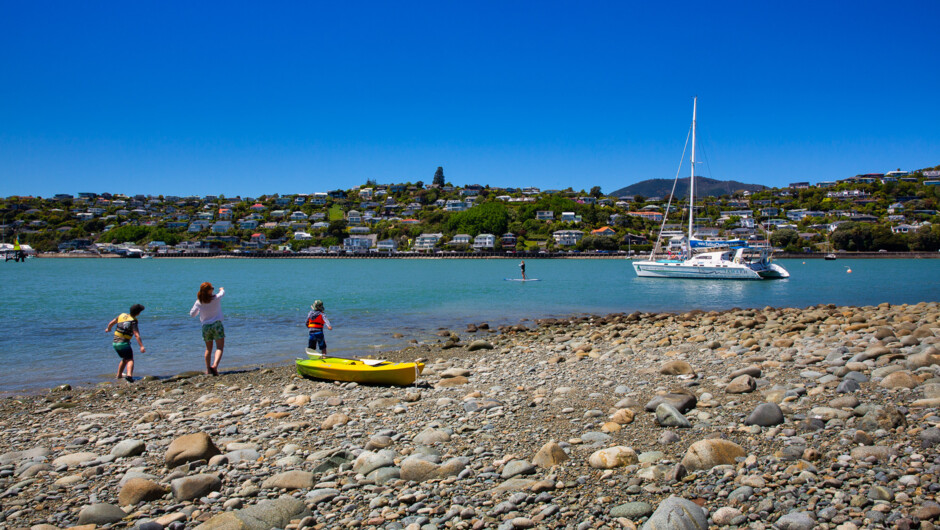 Private Day Sailing Tours - Explore Nelson Harbour and Haulashore Island.