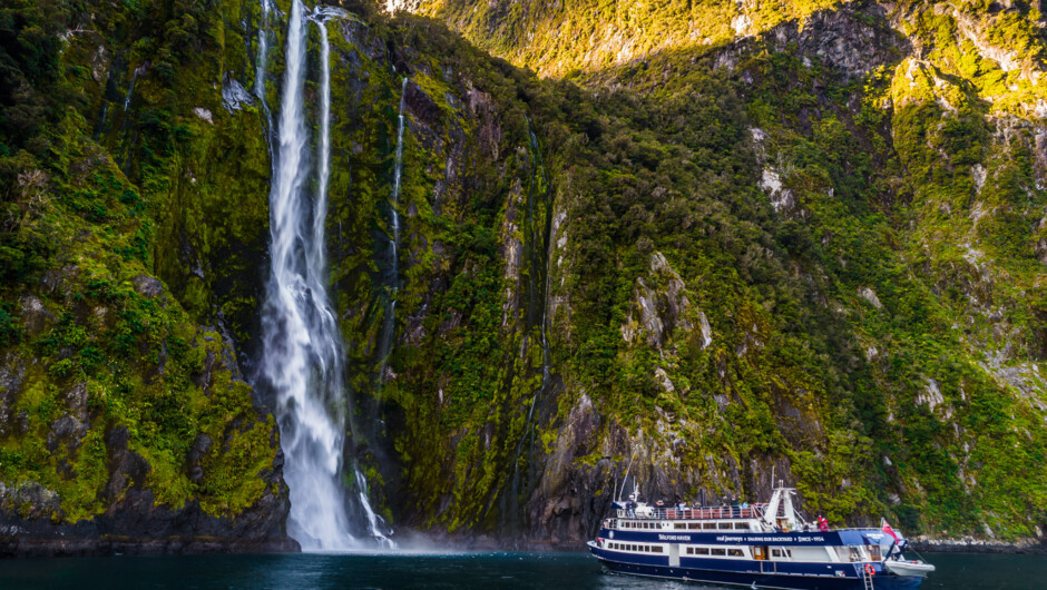 Milford Sound Day Cruise