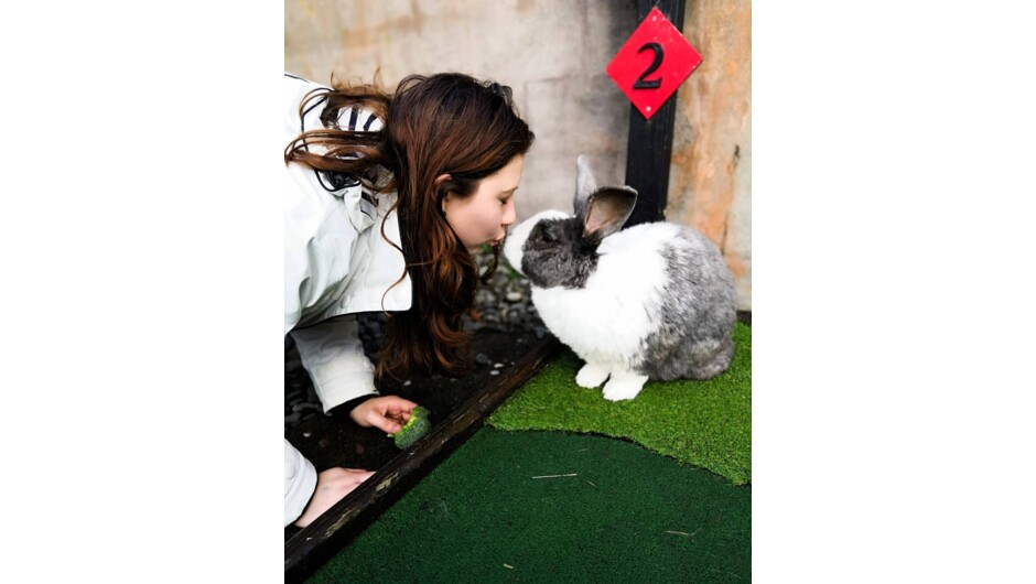 Friendly bunnies hopping around the course as you play.