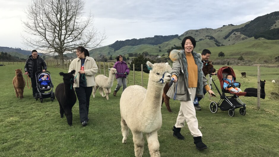 Farm tours