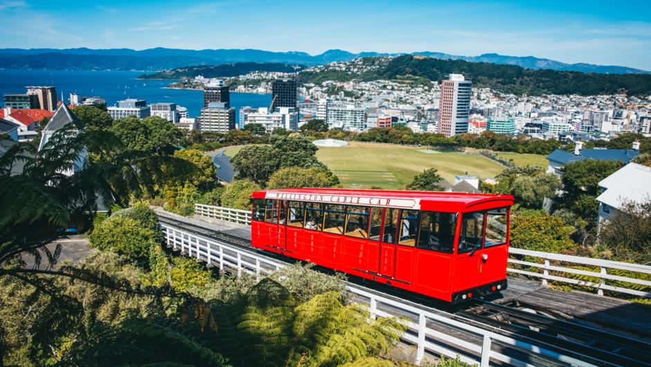 Best views in Wellington