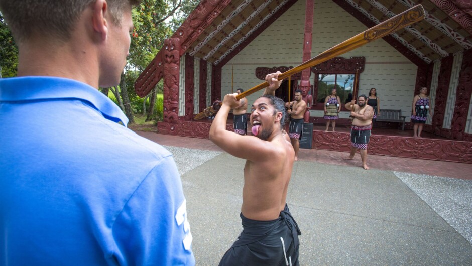 Cultural performance at Waitangi Treaty Grounds