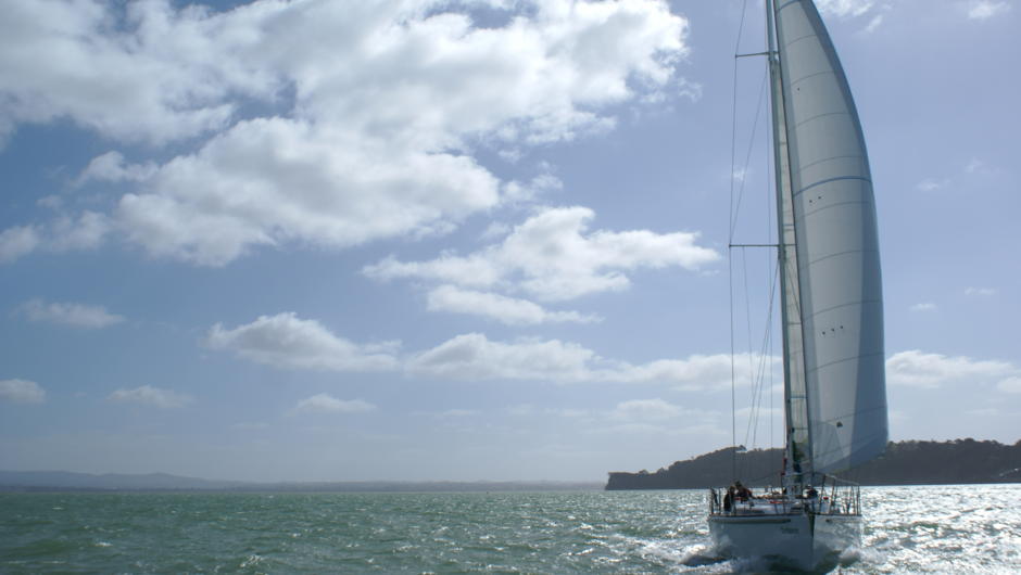 Auckland Harbour Sailing experience