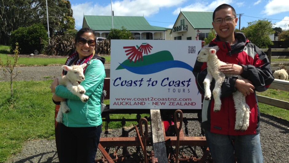 visit our *private* sheep farm just 40 minutes from Auckland city