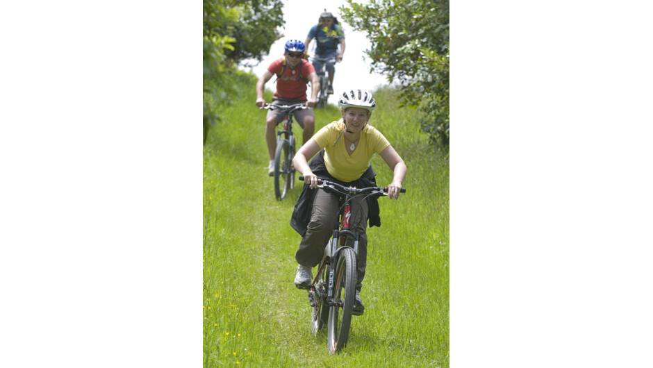 Rides for all levels on Queen Charlotte Track