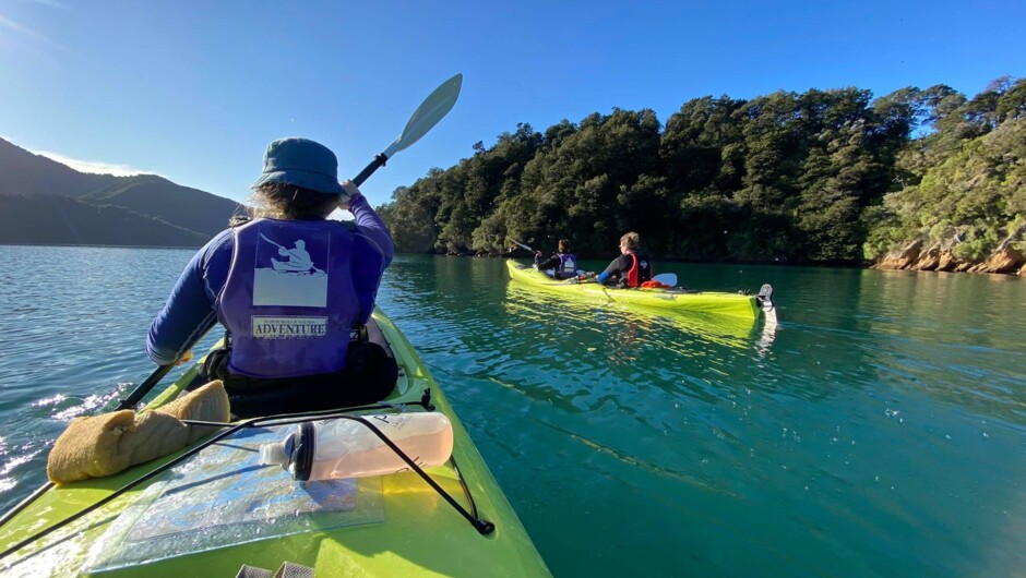 Paddle the bushclad shorelines of the Grove Arm, Queen Charlotte Sound on a magical one or half day guided trip.