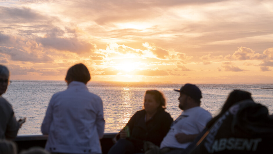 Enjoying the sunset during the Raglan Dinner Cruise