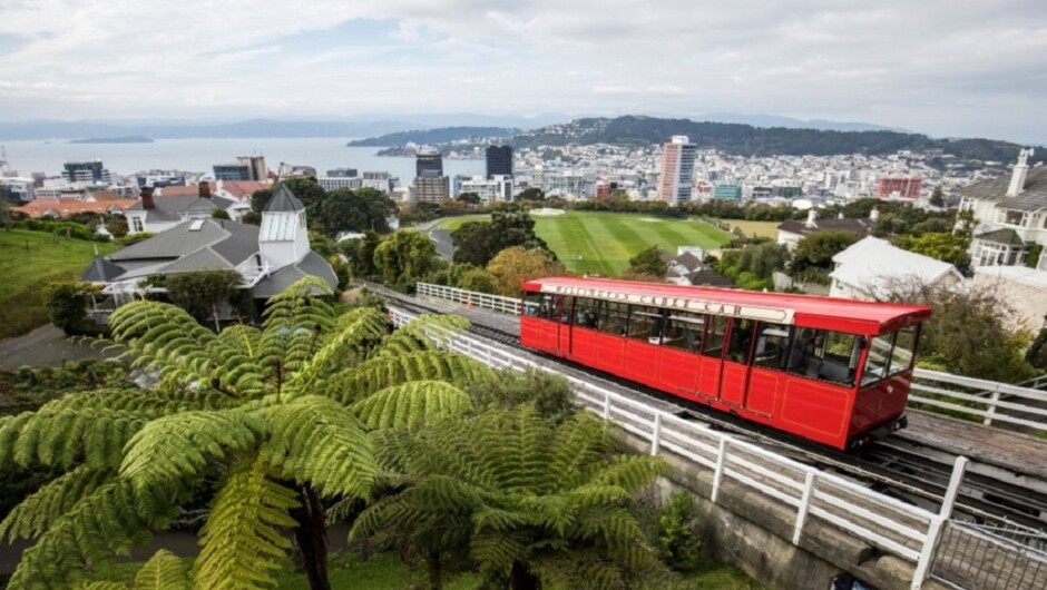 Take in the views of Wellington at the top of the Cable Car