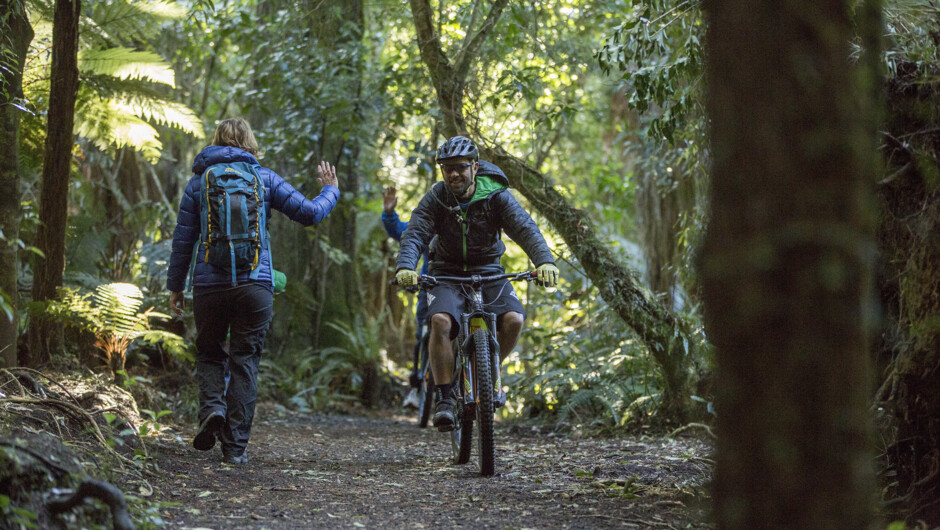 Hire a bike and explore the Old Coach Road in Ohakune
