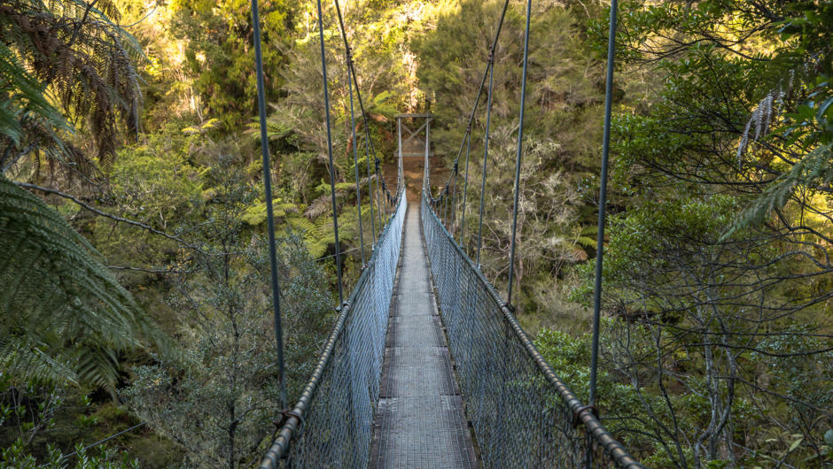 Falls River Swing Bridge, Abel Tasman National Park