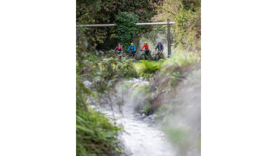 Wairakei Geothermal stream