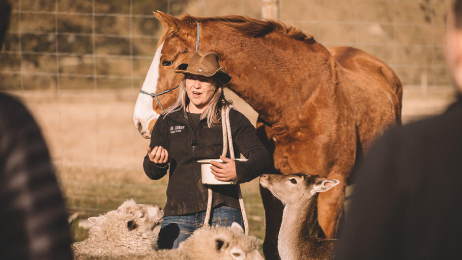 Learn how to communicate with horses and get to know our amazing station horse, Faith.