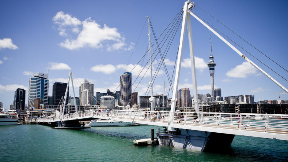 Viaduct Harbour on a sunny day in Auckland