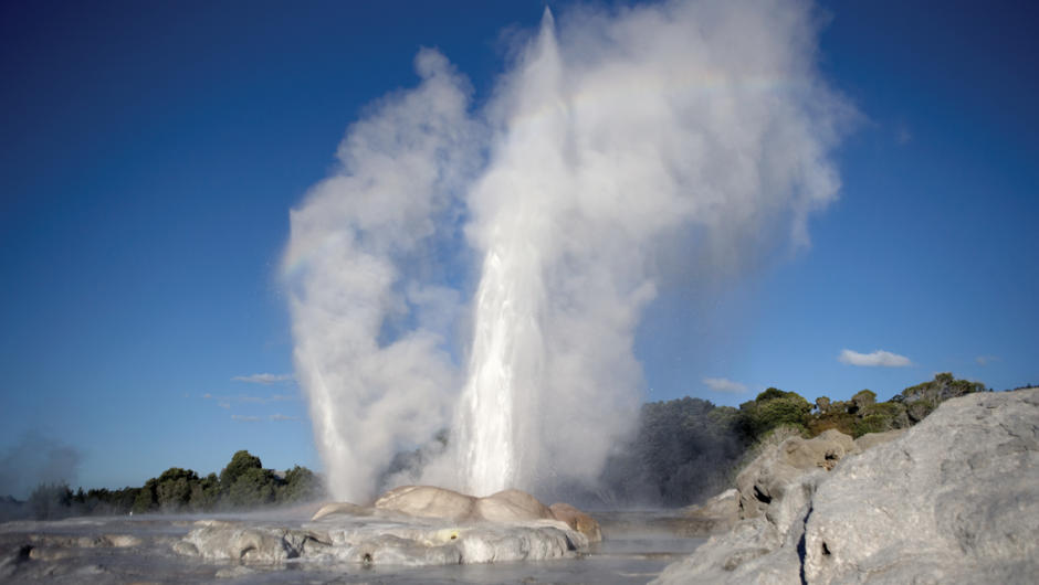 Geiser spits out steam in a Rotorua Geothermal field