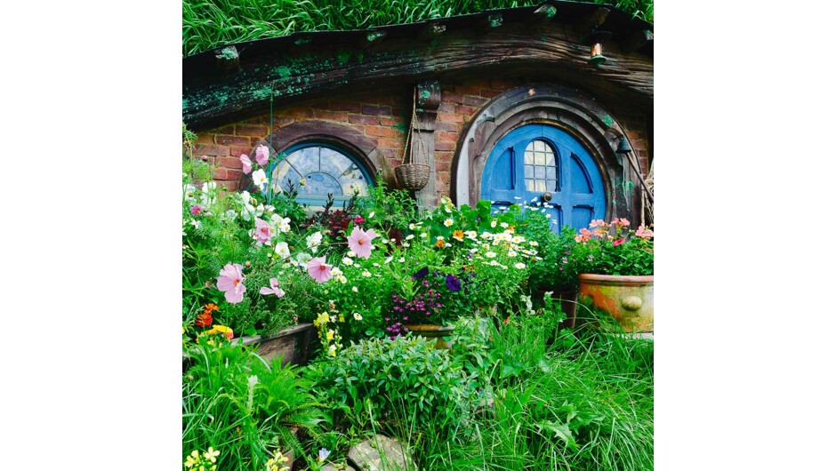 At Hobbiton You&#039;ll see 44 hobbit holes, the Mill and double arch bridge, the party tree and visit the Green Dragon Inn.
