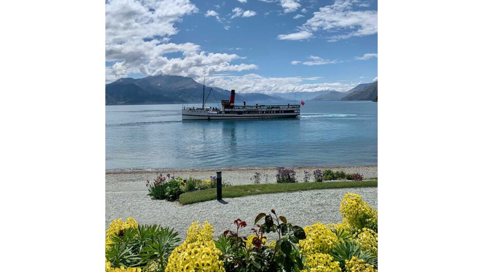 Catch a ride on the 100 year old Steamship the TSS Earnslaw, to Walter Peak Station for dinner and a farm tour.
