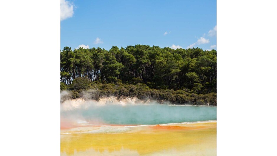 Peppered with natural hot springs, boiling mud pools and steaming geysers, Rotorua sits within one of the world's most active volcanic regions.