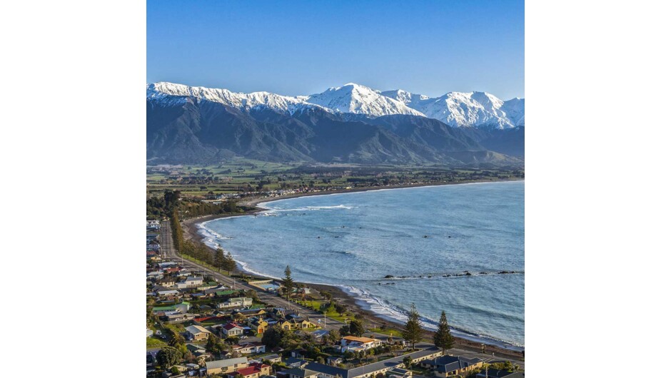 Kaikoura Township is a bustling little place with many cafes, restaurants and shops, but the main reason for visiting here is the wildlife and it's one of the only places in New Zealand you can see whales year round.
