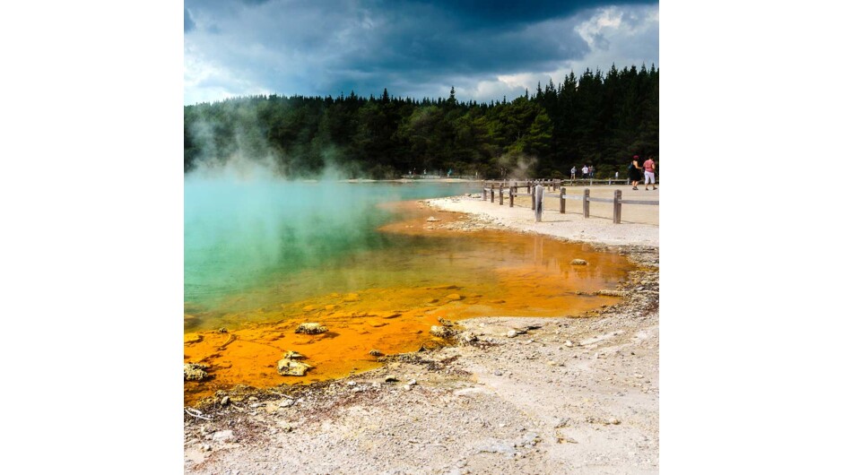 Champagne Pools Rotorua.