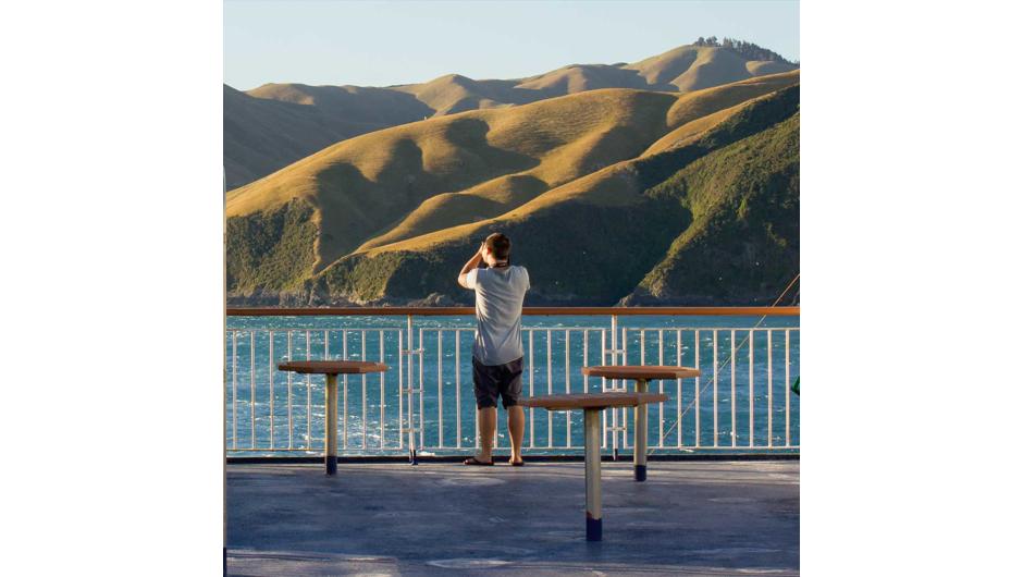 Around one hour of the boat crossing takes you through the Marlborough Sounds with bush-covered mountains, small islands, crystal clear waters and secluded bays that offer remarkable photographic opportunities.