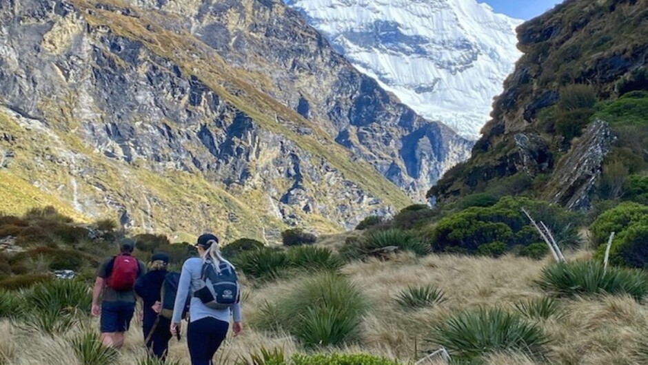 Mt Earnslaw Valley