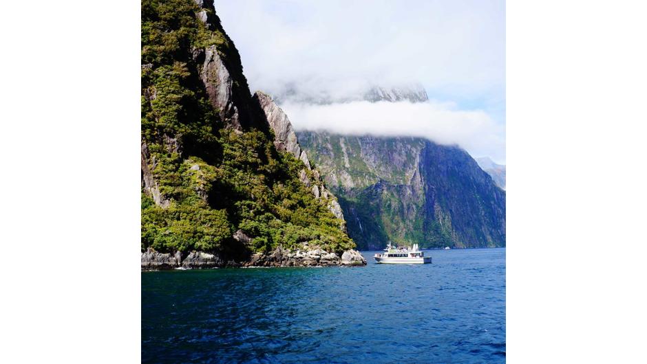 On reaching Milford Sound, you board the modern, spacious vessel for a leisurely cruise in the fiord. The cruise provides excellent viewing opportunities and plenty of time is available to enjoy waterfalls, rainforest, mountains and the wildlife.