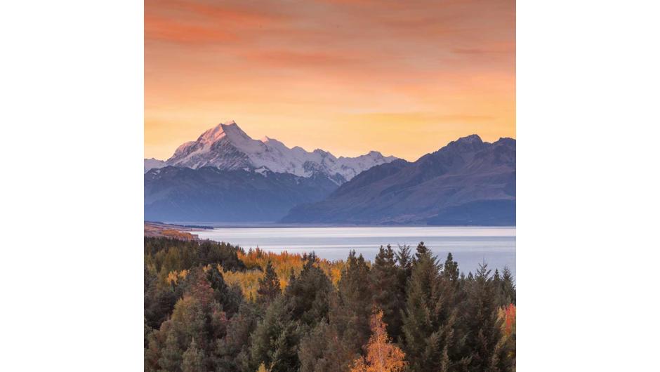 Leaving Queenstown, travel past the picturesque scenery of massive mountain peaks and crystal-clear blue lakes. Travel across the Haast Pass to the other side of the Southern Alps, the landscape changes dramatically.