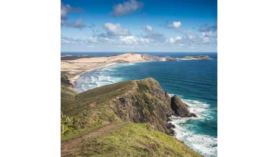 Travel along the sand-swept shore of Ninety Mile Beach in our purpose-built coach.