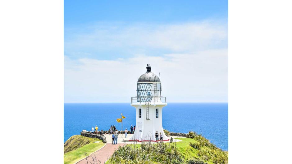 In Māori tradition, Cape Reinga or Te Rerenga Wairua is the place where spirits depart on their long journey back to the homeland.