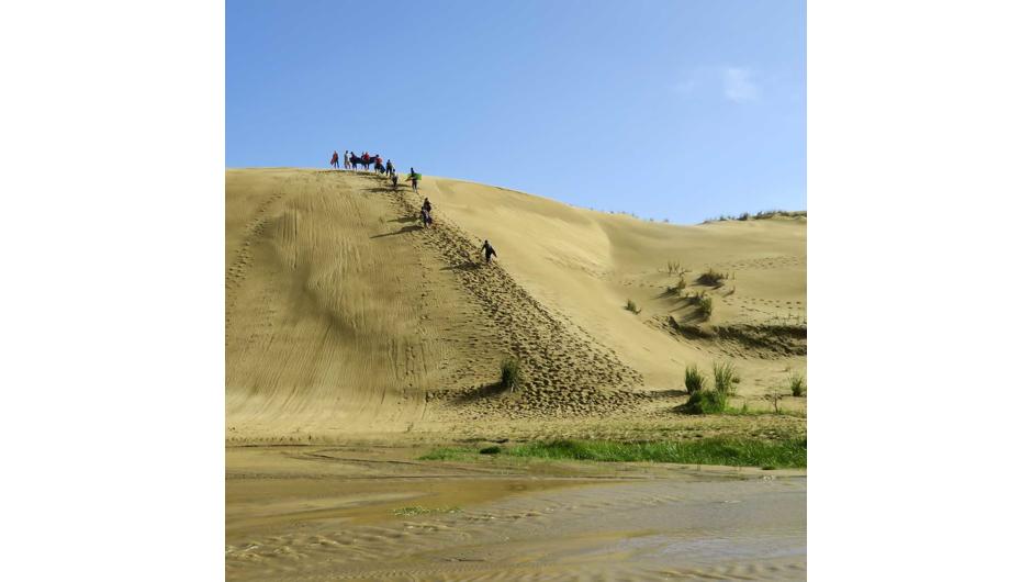 Climb the massive sand dunes at Te Paki Stream and experience the thrill of sand-boarding. In Māori tradition, Cape Reinga or Te Rerenga Wairua is the place where spirits depart on their long journey back to the homeland.