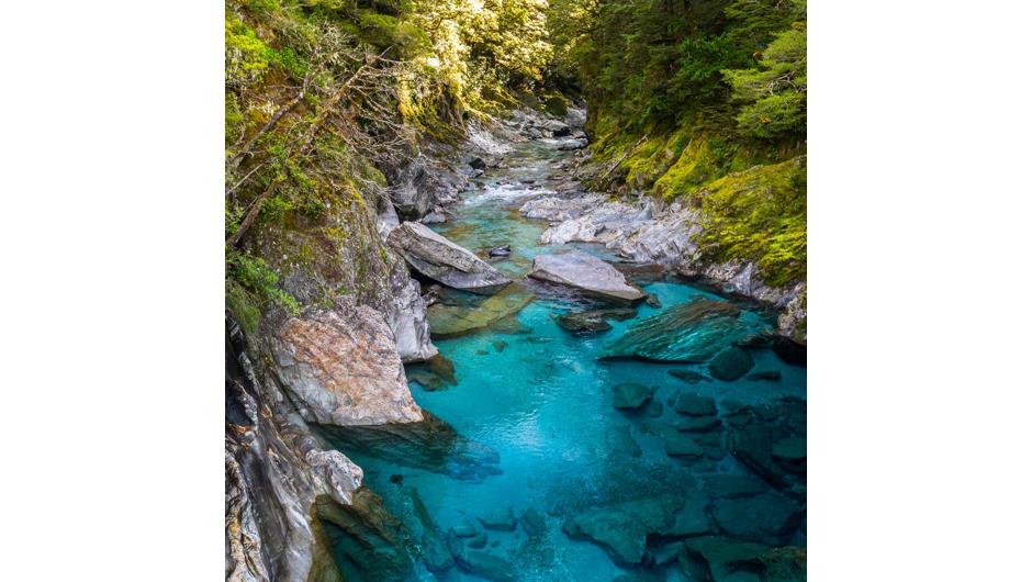 The Blue Pools near Makarora are a great 30-minute walk and popular attraction.