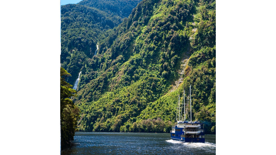 Embark on a day or overnight cruise to the remote Doubtful Sound, renowned for its natural beauty. Just a short way further will bring you to the lakeside destination of Te Anau, gateway to Fiordland National Park and Milford Sound.