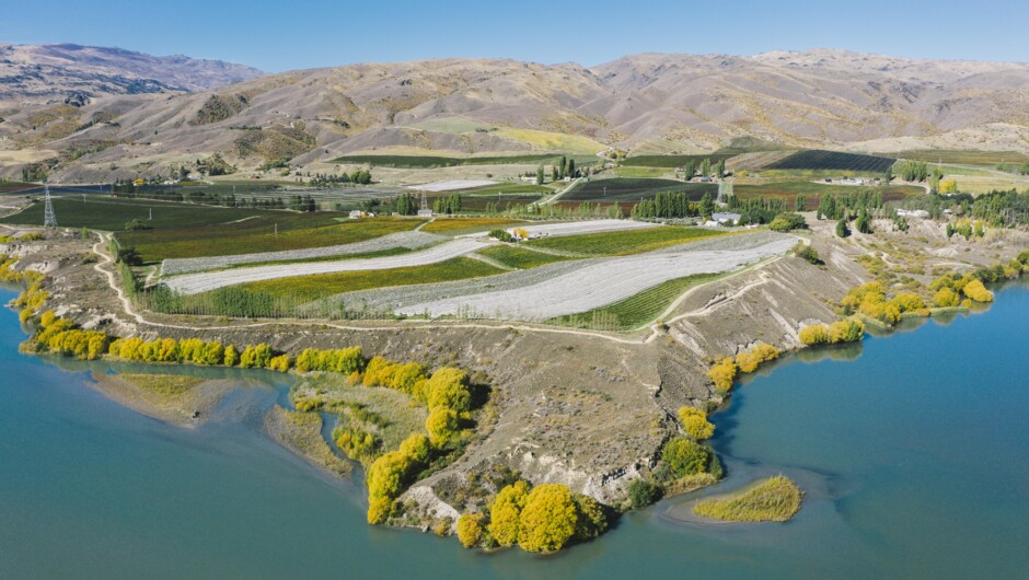 Our organic vineyard and winery is located on Cairnmuir Road in Bannockburn, Central Otago on the Bannockburn Inlet and the Kawarau River.