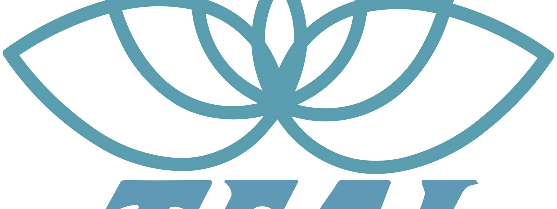 Teal Spa Logo.jpg