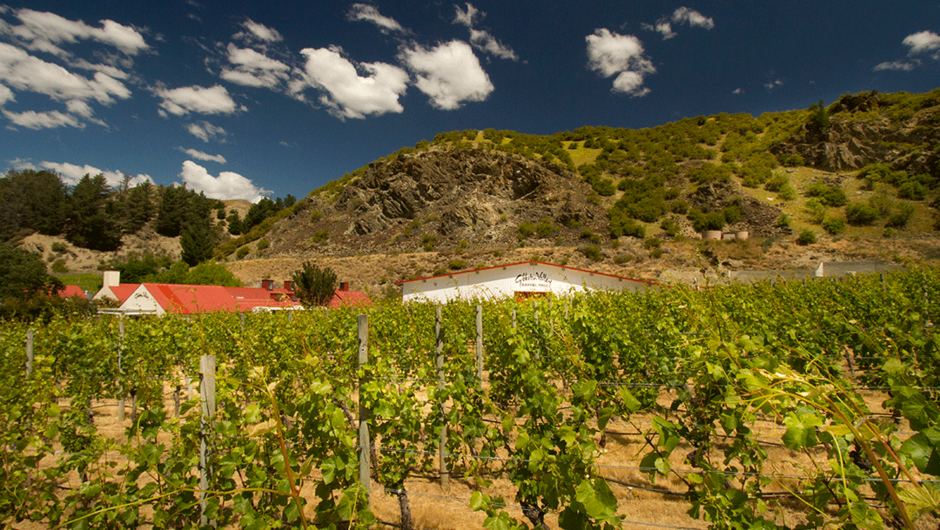 Gibbston Valley Winery