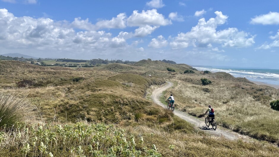 Explore the Eastern Coastline by bike, before turning inland and exploring the rural back blocks of New Zealand&#039;s North Island.