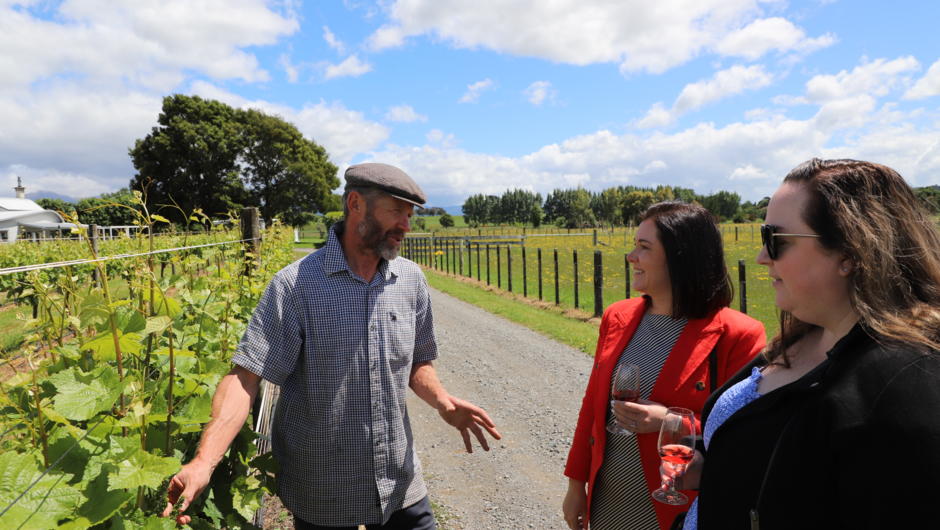 Vineyard walk with Owner/Viticulturist Brian Geary of Le Gra Vineyard.