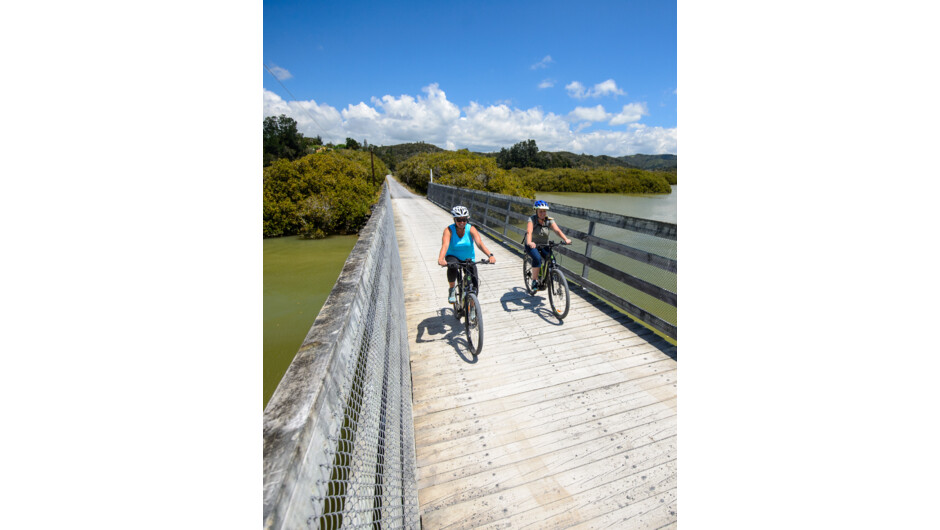 Cycling alongside the Waikare inlet close to Opua - East.