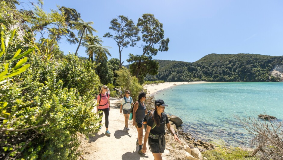 Abel Tasman National Park