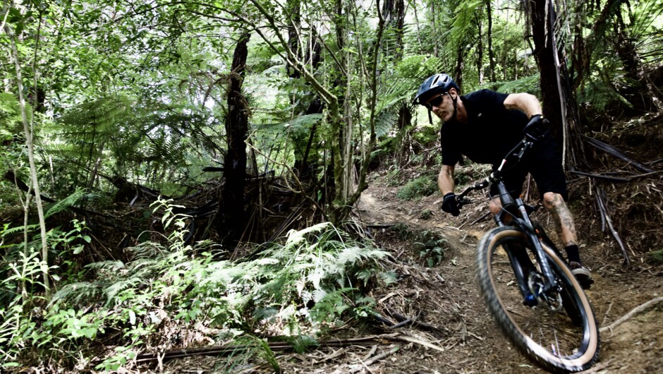 You have never mountain biked in New Zealand if you wheels don't touch some roots in native bush, and we have the trails for it. 
"The Green Room"  will have you back in the shuttle line eager for another run.