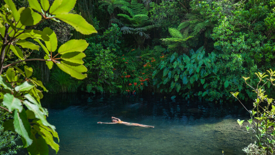 Relax and enjoy the beautiful native rainforest and have a swim in the Waiatekatanga River