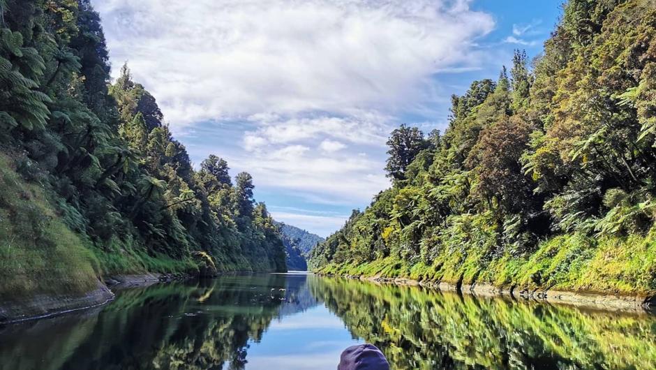 Cruising along the culturally significant Whanganui River