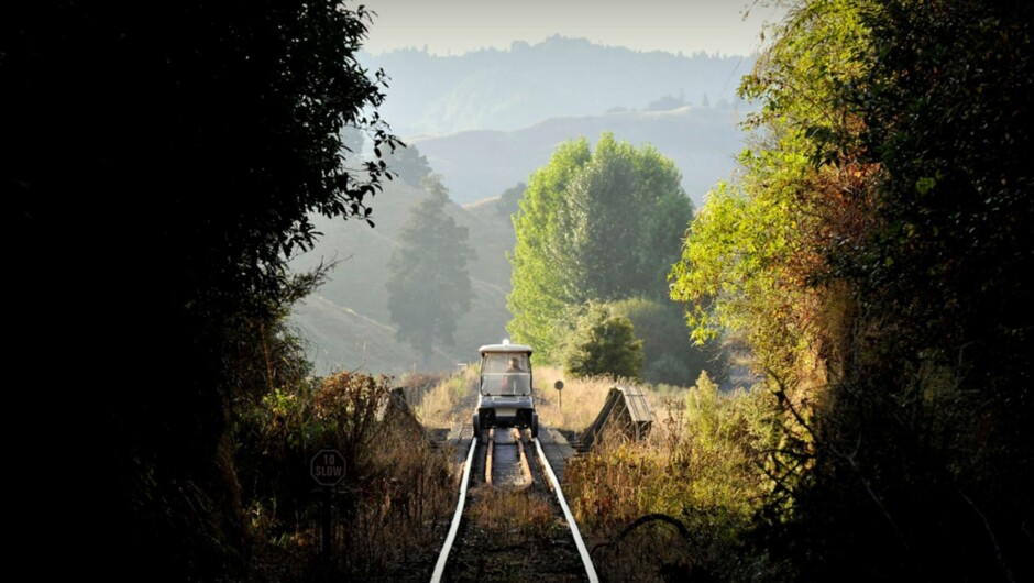 Embark on your own adventure along the Forgotten World Railway