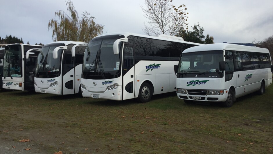Bus line up of fleet, Tracknet intercity transport