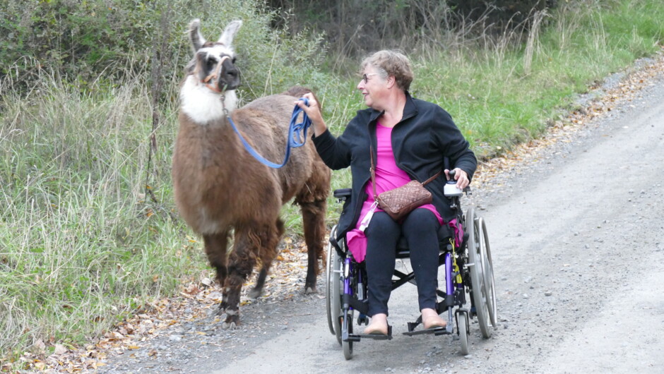Wheelchair Taster Trekker - Kaikoura Llama Trekking