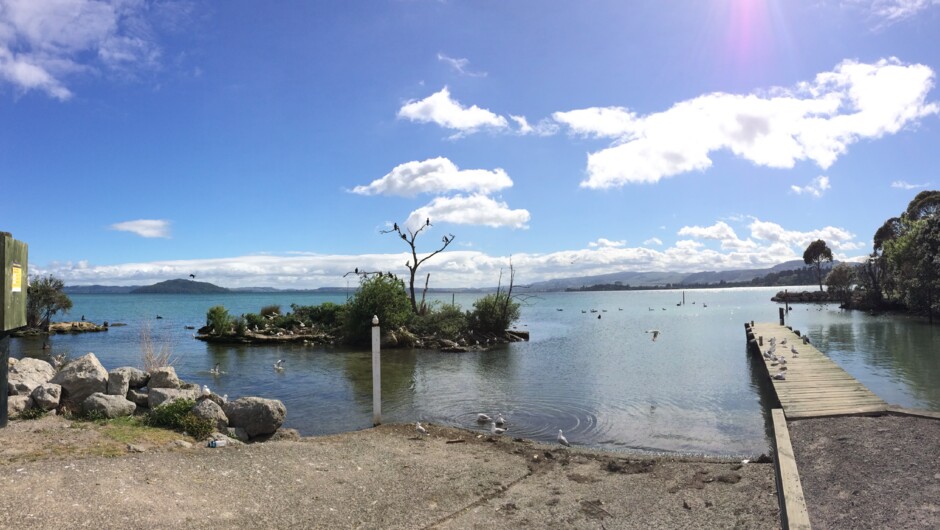 Lake Rotorua